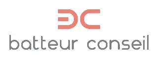 Batteur conseil Sarl